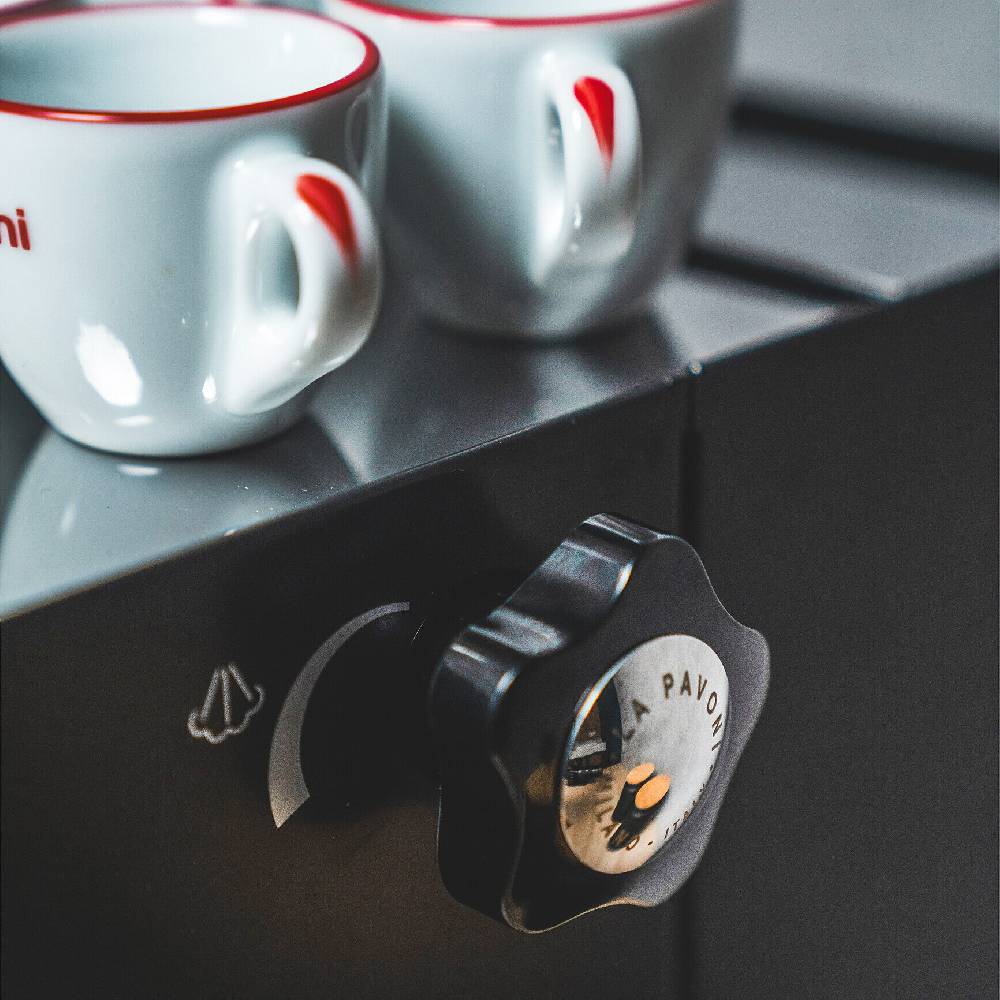 La Pavoni NEW CASABAR PID NERA Italy